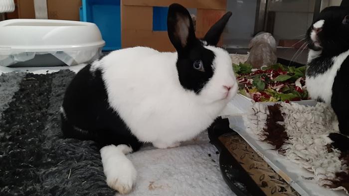 Klicke auf die Grafik fr eine grere Ansicht

Name:	20231112_093542.jpg
Hits:	0
Gre:	98,4 KB
ID:	204230