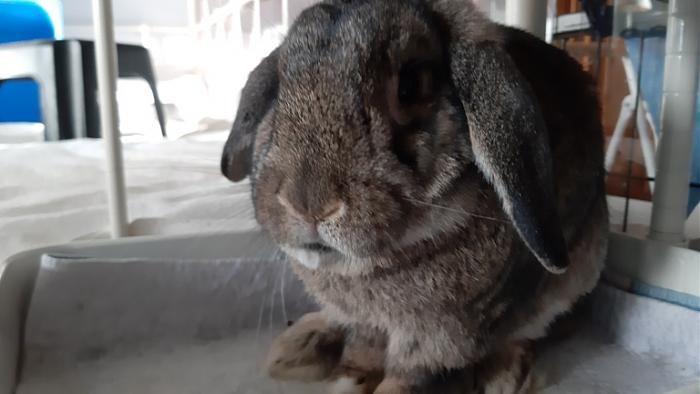 Klicke auf die Grafik fr eine grere Ansicht

Name:	20231111_092500.jpg
Hits:	0
Gre:	84,0 KB
ID:	204231