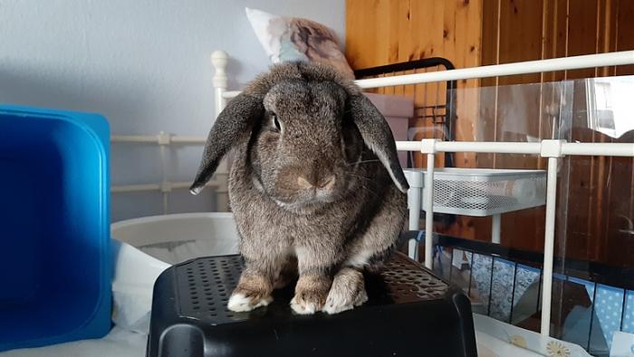 Klicke auf die Grafik fr eine grere Ansicht

Name:	20231107_093950.jpg
Hits:	1
Gre:	106,8 KB
ID:	204232