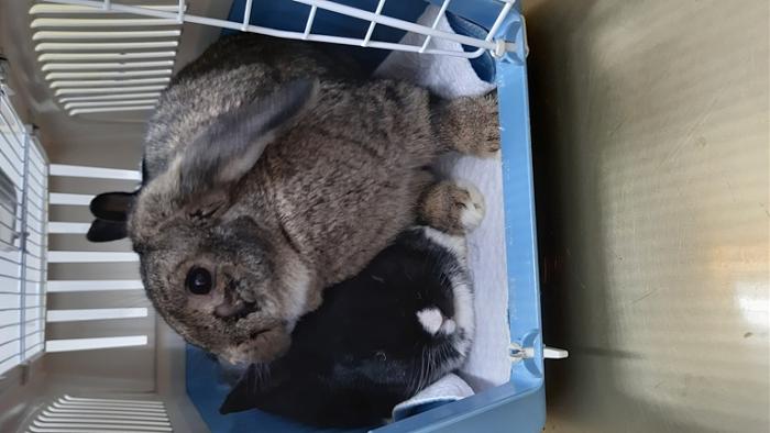 Klicke auf die Grafik fr eine grere Ansicht

Name:	20231107_154325.jpg
Hits:	0
Gre:	98,2 KB
ID:	204233