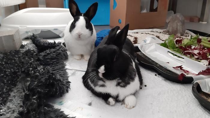 Klicke auf die Grafik fr eine grere Ansicht

Name:	20231106_082832.jpg
Hits:	0
Gre:	102,4 KB
ID:	204234