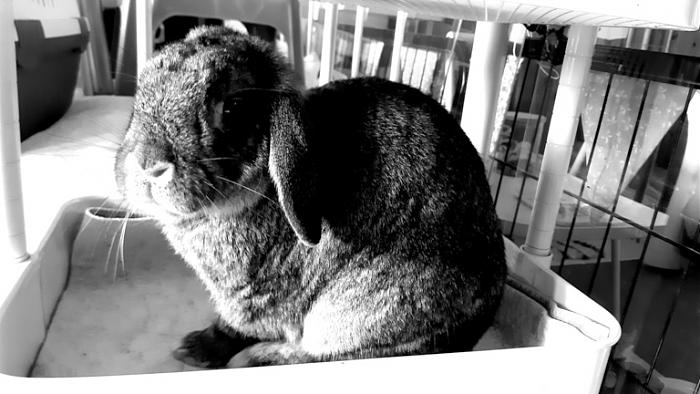 Klicke auf die Grafik fr eine grere Ansicht

Name:	20231115_171844.jpg
Hits:	0
Gre:	111,2 KB
ID:	204290