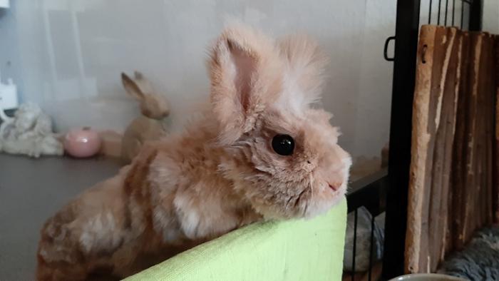 Klicke auf die Grafik f�r eine gr��ere Ansicht

Name:	20240121_084630.jpg
Hits:	0
Gr��e:	74,9 KB
ID:	205449