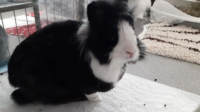 Klicke auf die Grafik f�r eine gr��ere Ansicht

Name:	20240120_103041.jpg
Hits:	0
Gr��e:	88,6 KB
ID:	205450