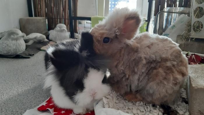 Klicke auf die Grafik f�r eine gr��ere Ansicht

Name:	20240120_102945.jpg
Hits:	0
Gr��e:	100,7 KB
ID:	205451