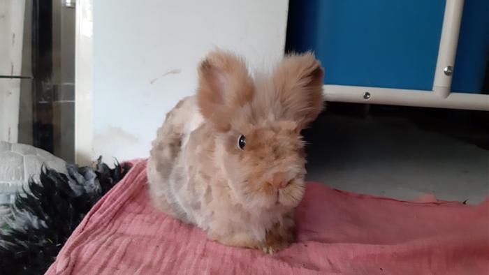 Klicke auf die Grafik f�r eine gr��ere Ansicht

Name:	20240120_102252.jpg
Hits:	0
Gr��e:	69,1 KB
ID:	205452