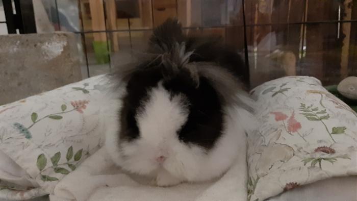 Klicke auf die Grafik f�r eine gr��ere Ansicht

Name:	20240117_044947.jpg
Hits:	0
Gr��e:	75,8 KB
ID:	205453