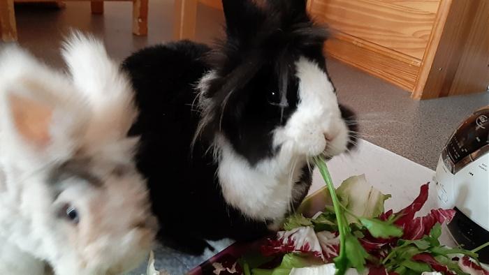 Klicke auf die Grafik f�r eine gr��ere Ansicht

Name:	20240120_093810.jpg
Hits:	0
Gr��e:	92,7 KB
ID:	205454