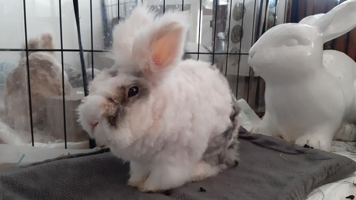 Klicke auf die Grafik f�r eine gr��ere Ansicht

Name:	20240120_092916.jpg
Hits:	0
Gr��e:	83,1 KB
ID:	205455