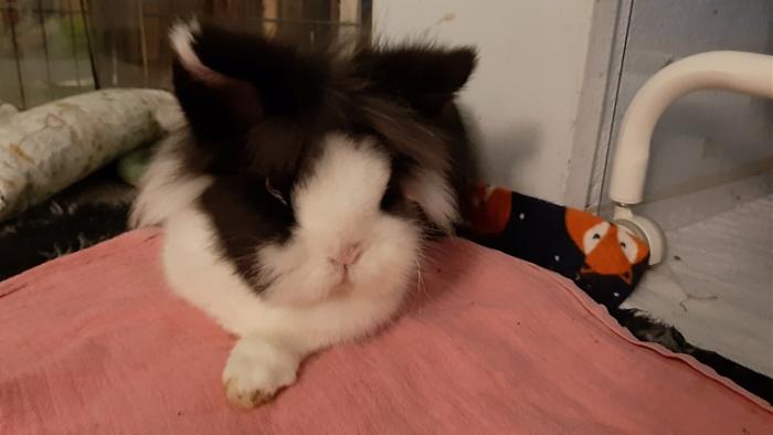 Klicke auf die Grafik f�r eine gr��ere Ansicht

Name:	20240117_073444.jpg
Hits:	0
Gr��e:	72,2 KB
ID:	205456