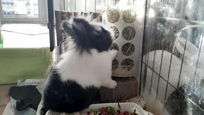 Klicke auf die Grafik f�r eine gr��ere Ansicht

Name:	20240114_110717.jpg
Hits:	0
Gr��e:	102,0 KB
ID:	205458