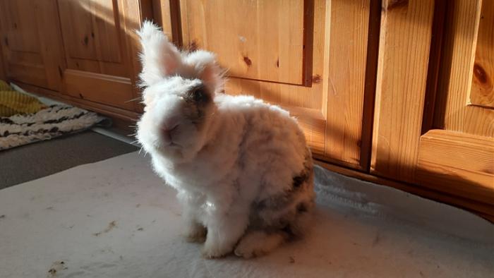 Klicke auf die Grafik f�r eine gr��ere Ansicht

Name:	20240114_103845.jpg
Hits:	0
Gr��e:	87,2 KB
ID:	205459