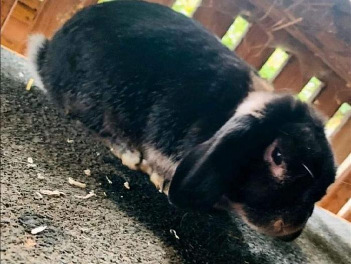 Klicke auf die Grafik f�r eine gr��ere Ansicht

Name:	IMG_6134.jpg
Hits:	0
Gr��e:	60,0 KB
ID:	205552