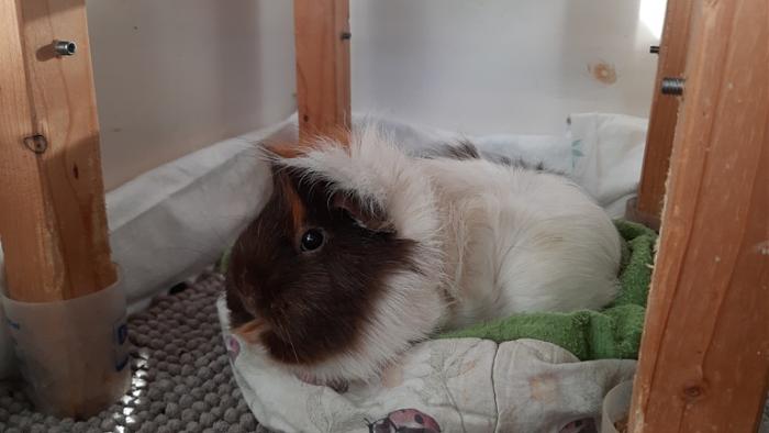 Klicke auf die Grafik f�r eine gr��ere Ansicht

Name:	20240128_093135.jpg
Hits:	0
Gr��e:	82,4 KB
ID:	205564