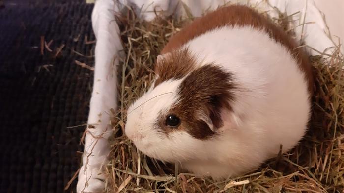 Klicke auf die Grafik f�r eine gr��ere Ansicht

Name:	20240128_080402.jpg
Hits:	0
Gr��e:	101,4 KB
ID:	205565