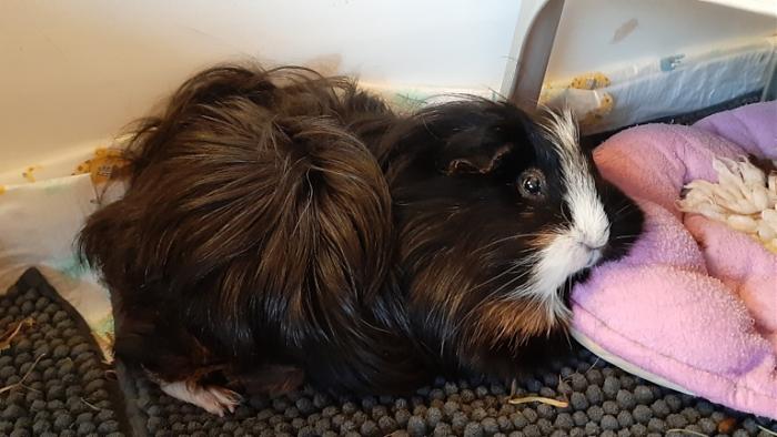 Klicke auf die Grafik f�r eine gr��ere Ansicht

Name:	20240128_080342.jpg
Hits:	0
Gr��e:	112,1 KB
ID:	205566