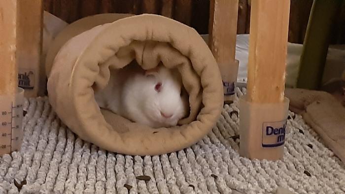 Klicke auf die Grafik f�r eine gr��ere Ansicht

Name:	20240127_062641.jpg
Hits:	0
Gr��e:	100,6 KB
ID:	205568