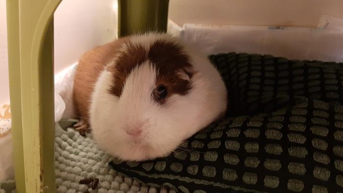 Klicke auf die Grafik f�r eine gr��ere Ansicht

Name:	20240125_054535.jpg
Hits:	0
Gr��e:	79,6 KB
ID:	205570