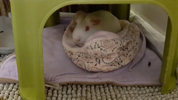 Klicke auf die Grafik f�r eine gr��ere Ansicht

Name:	20240124_060309.jpg
Hits:	0
Gr��e:	86,6 KB
ID:	205571