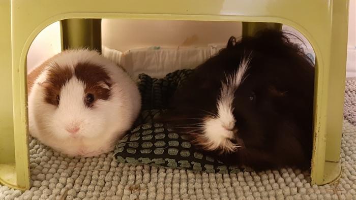 Klicke auf die Grafik f�r eine gr��ere Ansicht

Name:	20240122_061540.jpg
Hits:	0
Gr��e:	97,8 KB
ID:	205572