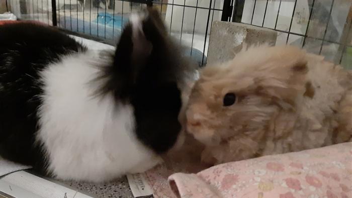 Klicke auf die Grafik f�r eine gr��ere Ansicht

Name:	20240125_064056.jpg
Hits:	0
Gr��e:	80,4 KB
ID:	205581