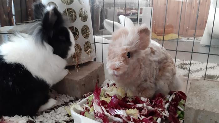 Klicke auf die Grafik f�r eine gr��ere Ansicht

Name:	20240127_093044.jpg
Hits:	0
Gr��e:	103,5 KB
ID:	205583