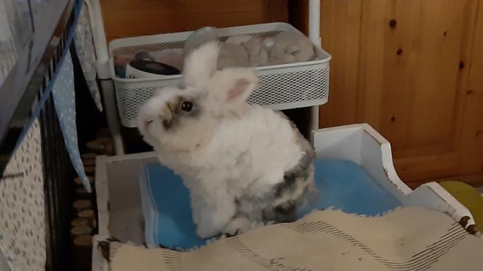 Klicke auf die Grafik f�r eine gr��ere Ansicht

Name:	20240127_061632.jpg
Hits:	0
Gr��e:	79,0 KB
ID:	205584