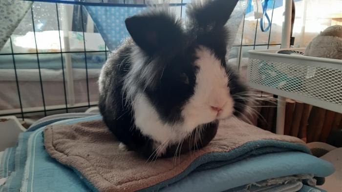 Klicke auf die Grafik f�r eine gr��ere Ansicht

Name:	20240128_095920.jpg
Hits:	0
Gr��e:	103,1 KB
ID:	205585