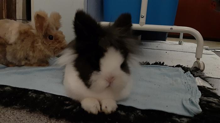 Klicke auf die Grafik f�r eine gr��ere Ansicht

Name:	20240124_065652.jpg
Hits:	0
Gr��e:	75,0 KB
ID:	205586