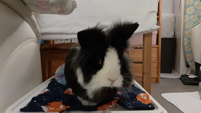 Klicke auf die Grafik f�r eine gr��ere Ansicht

Name:	20240123_061125.jpg
Hits:	0
Gr��e:	79,7 KB
ID:	205587