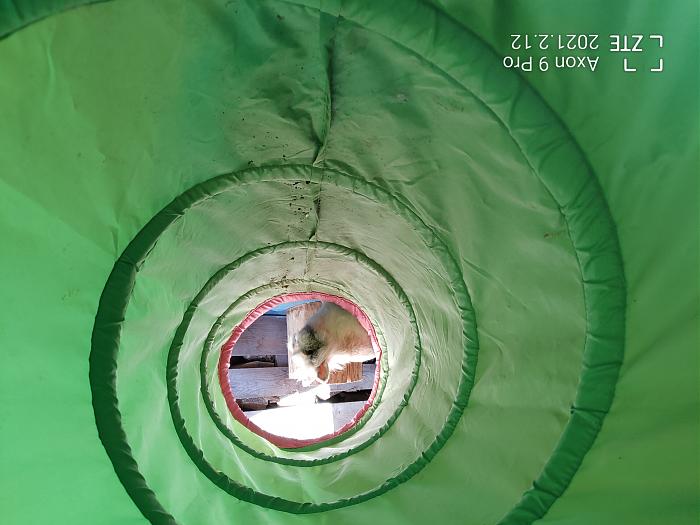 Klicke auf die Grafik f�r eine gr��ere Ansicht

Name:	Simon_Tunnel.jpg
Hits:	0
Gr��e:	292,0 KB
ID:	205632