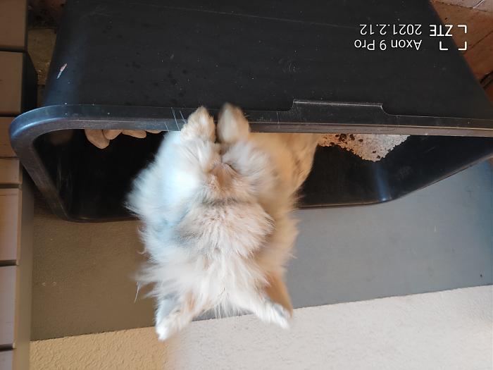 Klicke auf die Grafik f�r eine gr��ere Ansicht

Name:	Simon_Toilette.jpg
Hits:	0
Gr��e:	293,1 KB
ID:	205633