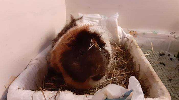 Klicke auf die Grafik f�r eine gr��ere Ansicht

Name:	20240204_072708.jpg
Hits:	0
Gr��e:	78,0 KB
ID:	205645