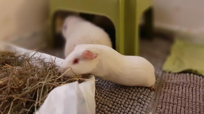 Klicke auf die Grafik f�r eine gr��ere Ansicht

Name:	20240204_072740.jpg
Hits:	0
Gr��e:	72,9 KB
ID:	205647