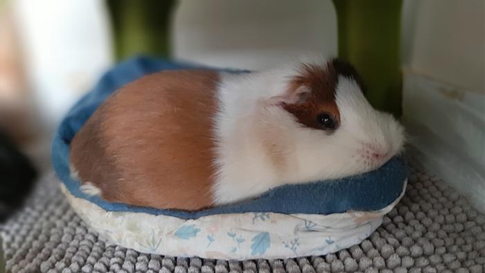 Klicke auf die Grafik f�r eine gr��ere Ansicht

Name:	20240204_084556.jpg
Hits:	0
Gr��e:	74,5 KB
ID:	205648