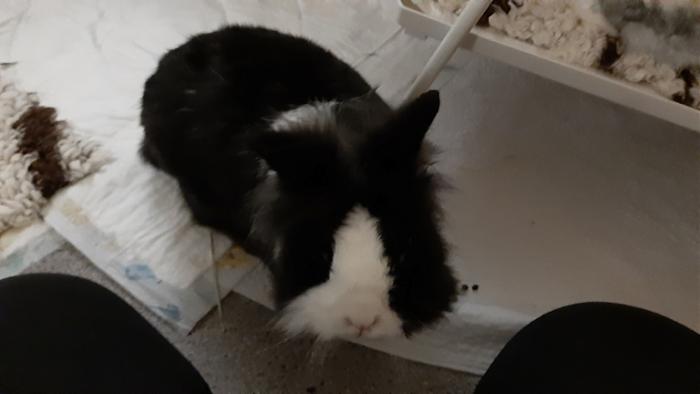 Klicke auf die Grafik f�r eine gr��ere Ansicht

Name:	20240203_075021.jpg
Hits:	0
Gr��e:	60,3 KB
ID:	205651