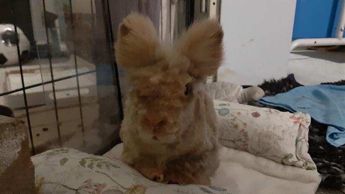 Klicke auf die Grafik f�r eine gr��ere Ansicht

Name:	20240203_070506.jpg
Hits:	1
Gr��e:	75,8 KB
ID:	205652