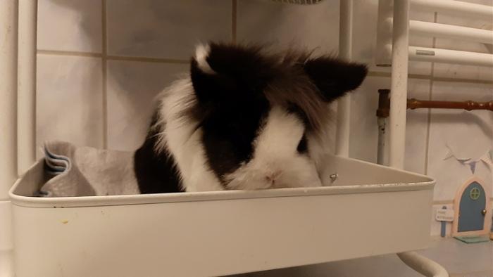 Klicke auf die Grafik f�r eine gr��ere Ansicht

Name:	20240202_064745.jpg
Hits:	0
Gr��e:	63,1 KB
ID:	205653