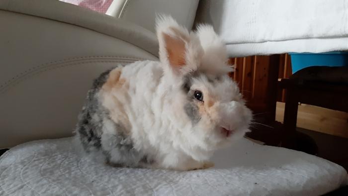 Klicke auf die Grafik f�r eine gr��ere Ansicht

Name:	20240131_113013.jpg
Hits:	0
Gr��e:	70,0 KB
ID:	205654