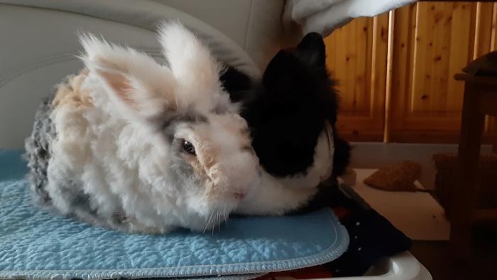 Klicke auf die Grafik f�r eine gr��ere Ansicht

Name:	20240203_140127.jpg
Hits:	0
Gr��e:	78,4 KB
ID:	205655