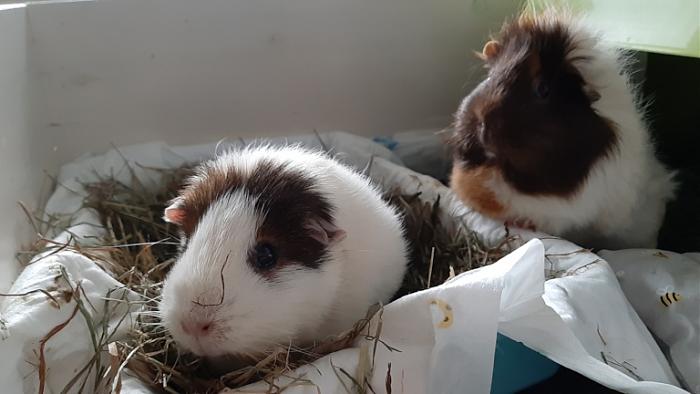 Klicke auf die Grafik f�r eine gr��ere Ansicht

Name:	20240208_092253.jpg
Hits:	1
Gr��e:	87,4 KB
ID:	205744