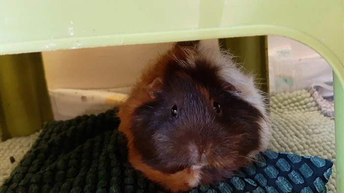 Klicke auf die Grafik f�r eine gr��ere Ansicht

Name:	20240210_083423.jpg
Hits:	0
Gr��e:	81,4 KB
ID:	205746