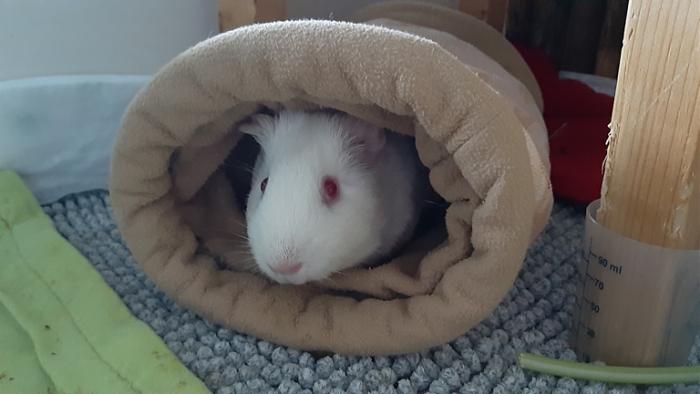 Klicke auf die Grafik f�r eine gr��ere Ansicht

Name:	20240208_092301.jpg
Hits:	0
Gr��e:	83,5 KB
ID:	205747