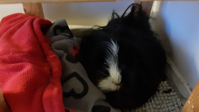 Klicke auf die Grafik f�r eine gr��ere Ansicht

Name:	20240210_075502.jpg
Hits:	0
Gr��e:	71,3 KB
ID:	205748