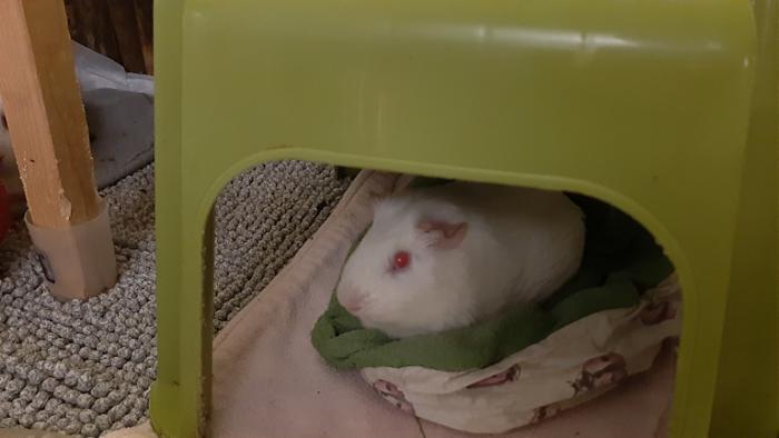 Klicke auf die Grafik f�r eine gr��ere Ansicht

Name:	20240207_055303.jpg
Hits:	0
Gr��e:	74,8 KB
ID:	205749