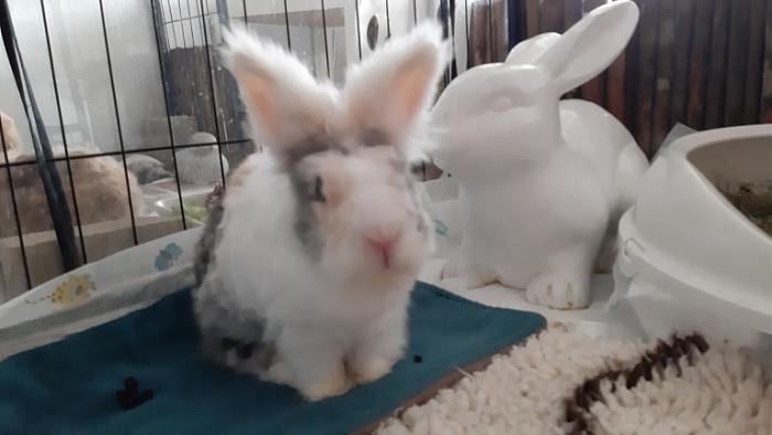 Klicke auf die Grafik f�r eine gr��ere Ansicht

Name:	20240210_152325.jpg
Hits:	0
Gr��e:	75,3 KB
ID:	205750