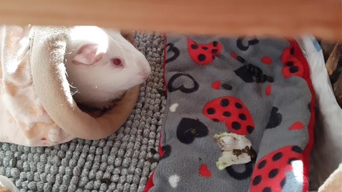 Klicke auf die Grafik f�r eine gr��ere Ansicht

Name:	20240217_122014.jpg
Hits:	0
Gr��e:	109,6 KB
ID:	205849