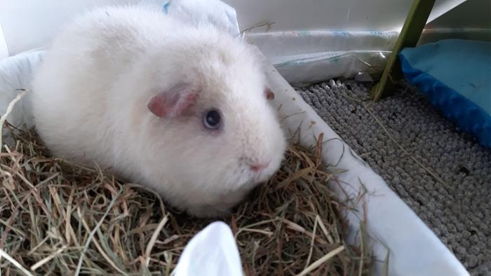 Klicke auf die Grafik f�r eine gr��ere Ansicht

Name:	20240217_122027.jpg
Hits:	0
Gr��e:	98,0 KB
ID:	205850