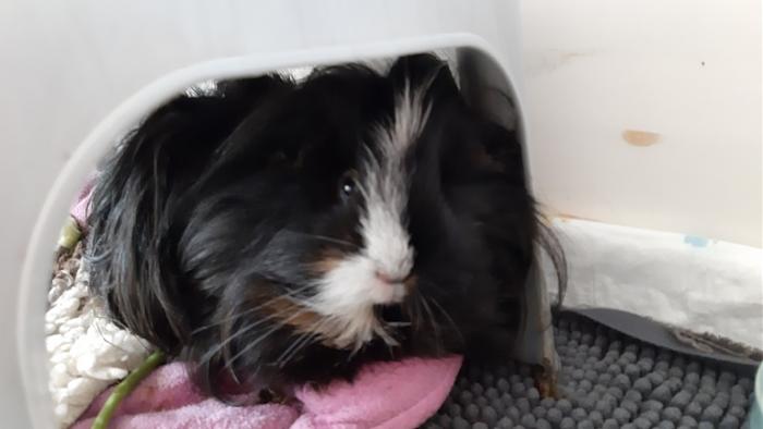 Klicke auf die Grafik f�r eine gr��ere Ansicht

Name:	20240217_122003.jpg
Hits:	0
Gr��e:	66,8 KB
ID:	205851