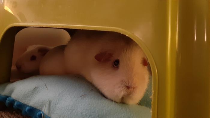 Klicke auf die Grafik f�r eine gr��ere Ansicht

Name:	20240217_071753.jpg
Hits:	0
Gr��e:	59,0 KB
ID:	205852